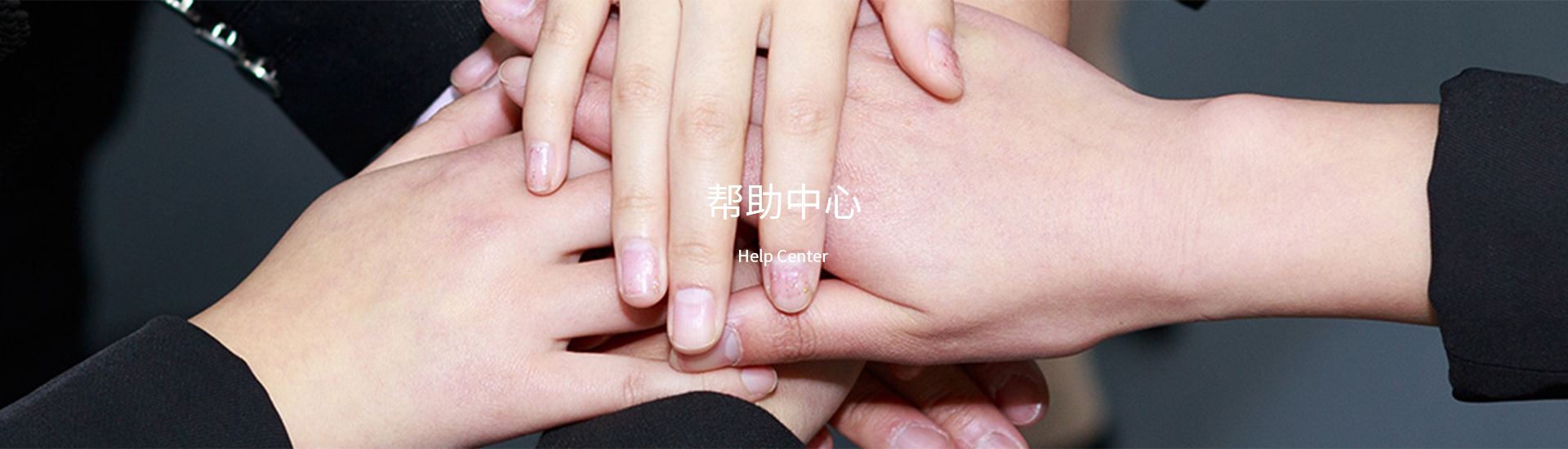 龙8-long8(国际)唯一官方网站